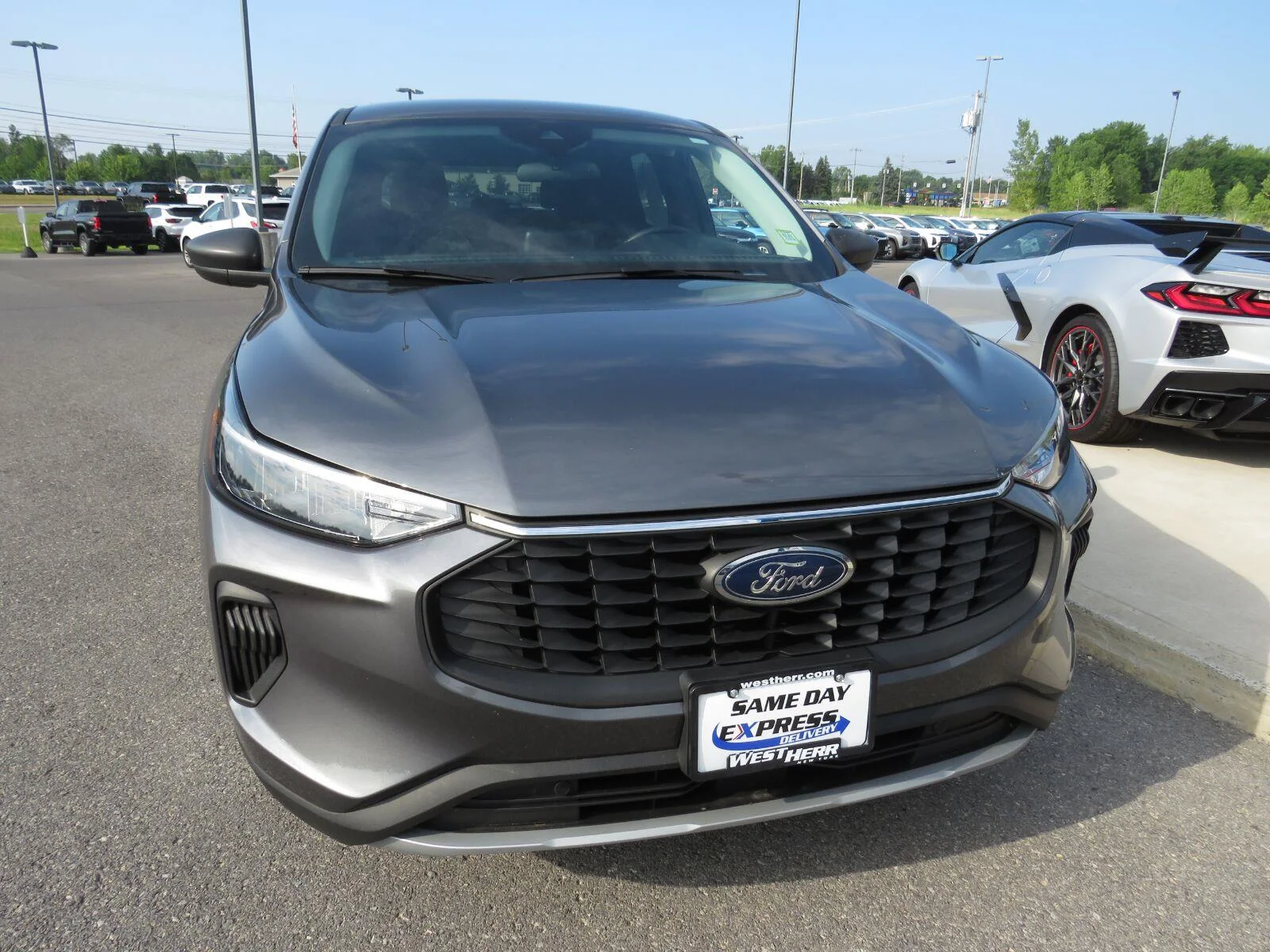 Used 2023  Ford Active image 4