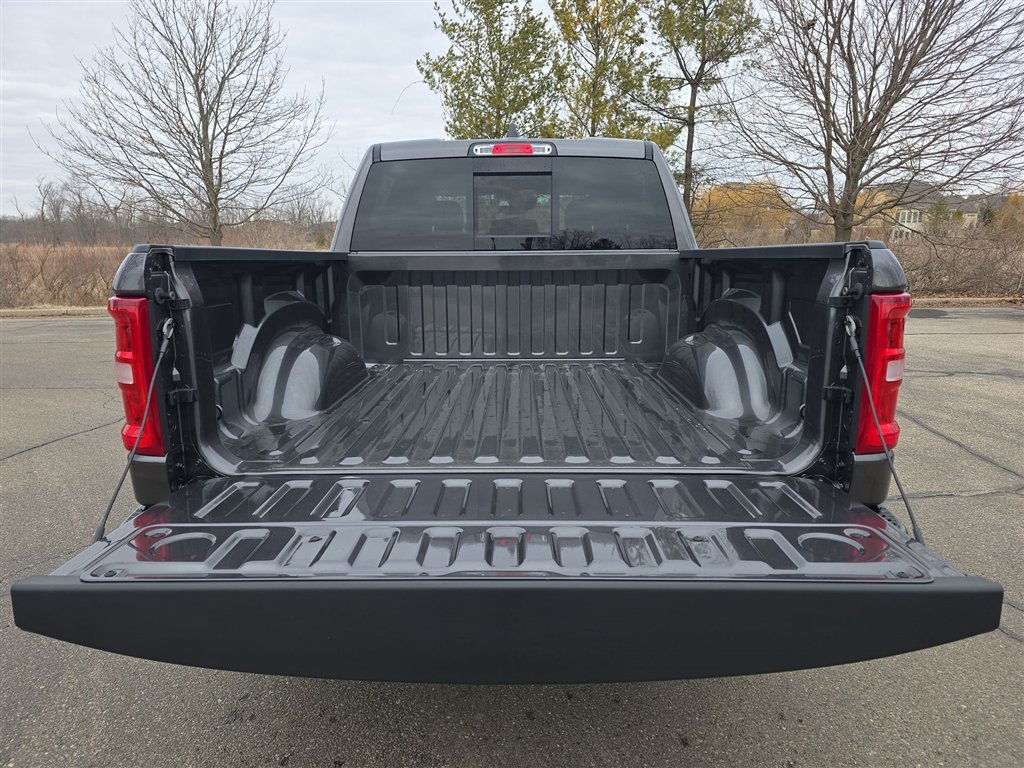 New 2026 Granite Crystal Metallic Clear-Coat Exterior Paint RAM Big Horn/Lone Star image 15