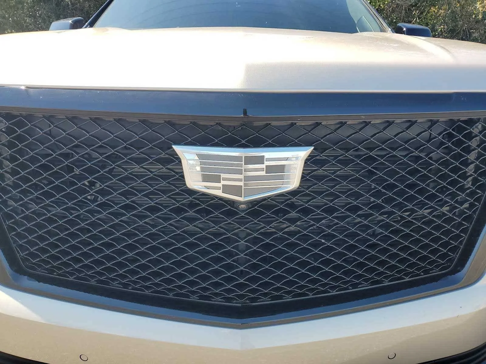 Used 2024 Sandstone Metallic Cadillac Sport Platinum image 9