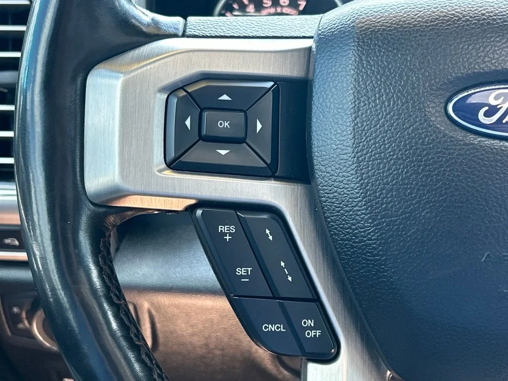 Used 2019 Black Metallic Ford Platinum image 26