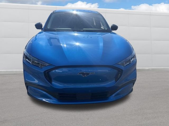 Used 2025 Blue Metallic Ford Premium image 12