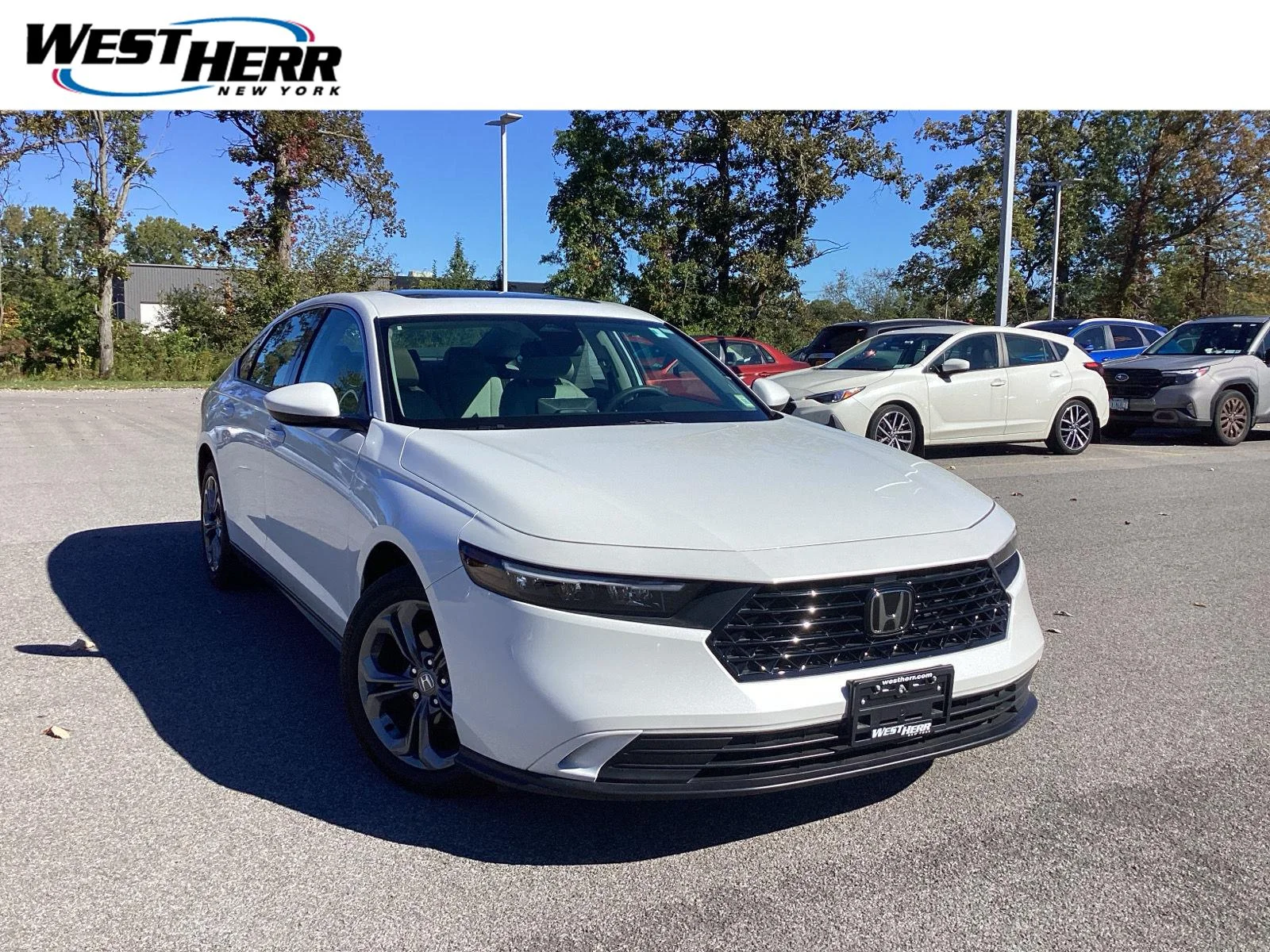2024 Honda Accord