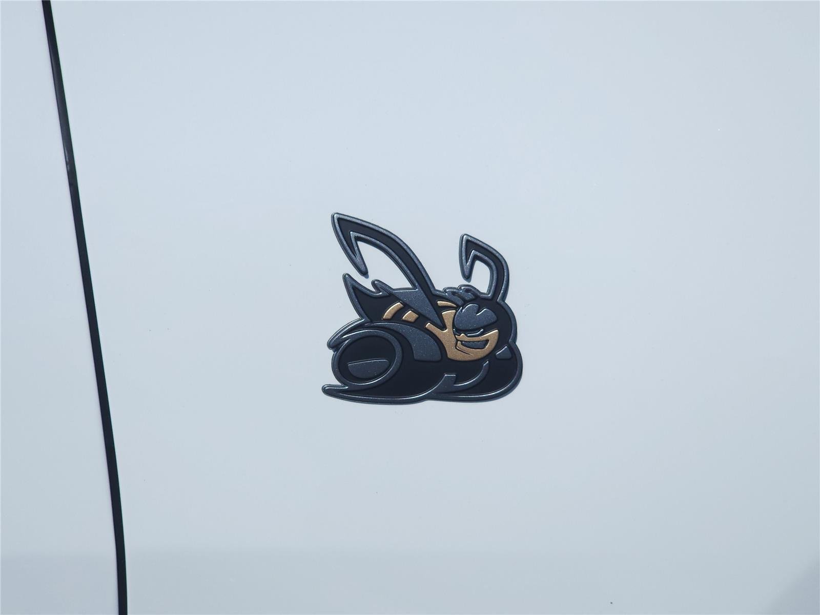 New 2026 White Knuckle Dodge Scat Pack image 7