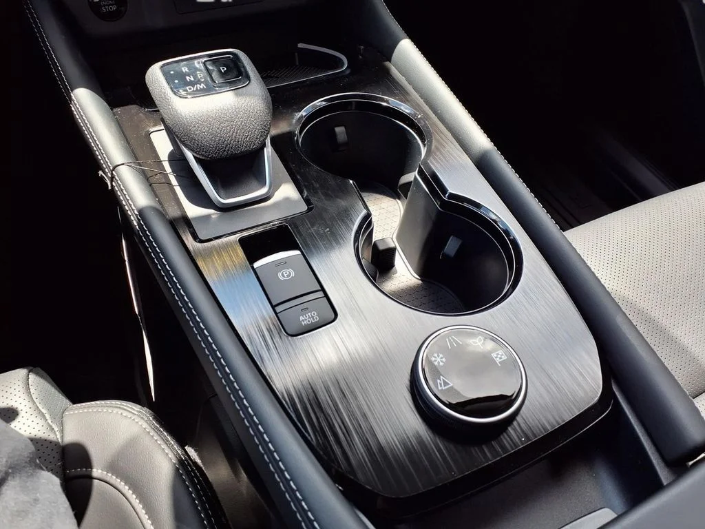 New 2026 Super Black Nissan Platinum image 11