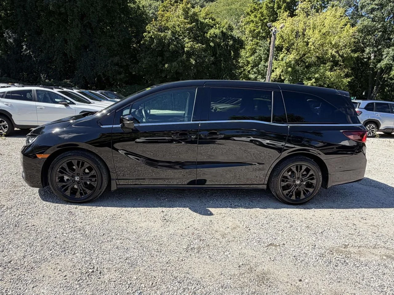 Used 2025 Crystal Black Pearl Honda Sport-L image 7