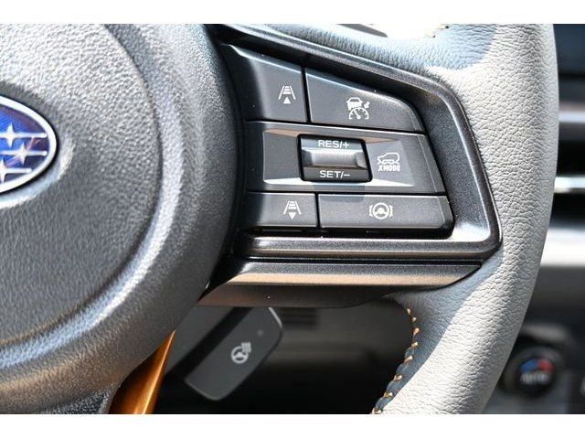 New 2026 River Rock Pearl Subaru Wilderness image 66