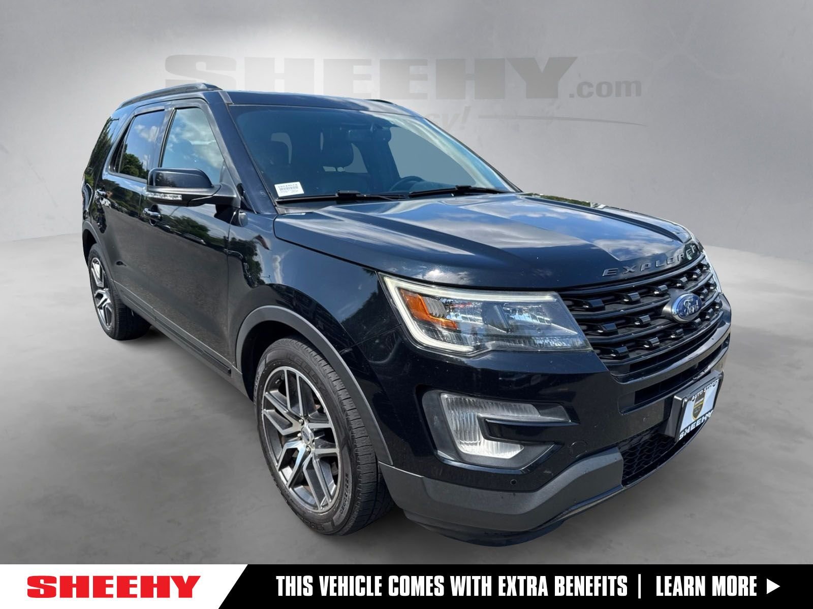 Used 2017 Black Ford Sport image 1