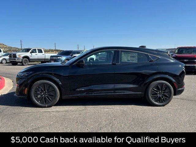 New 2026 Shadow Black Ford Premium image 2