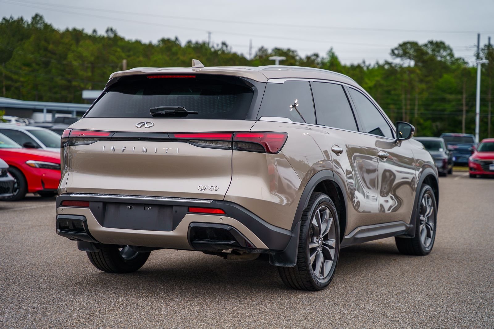 2023 INFINITI QX60 LUXE - Photo 10