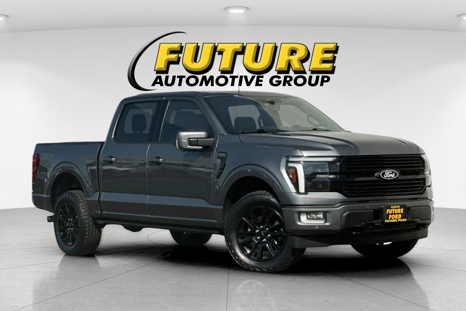 Used 2024 Gray Ford Platinum image 1