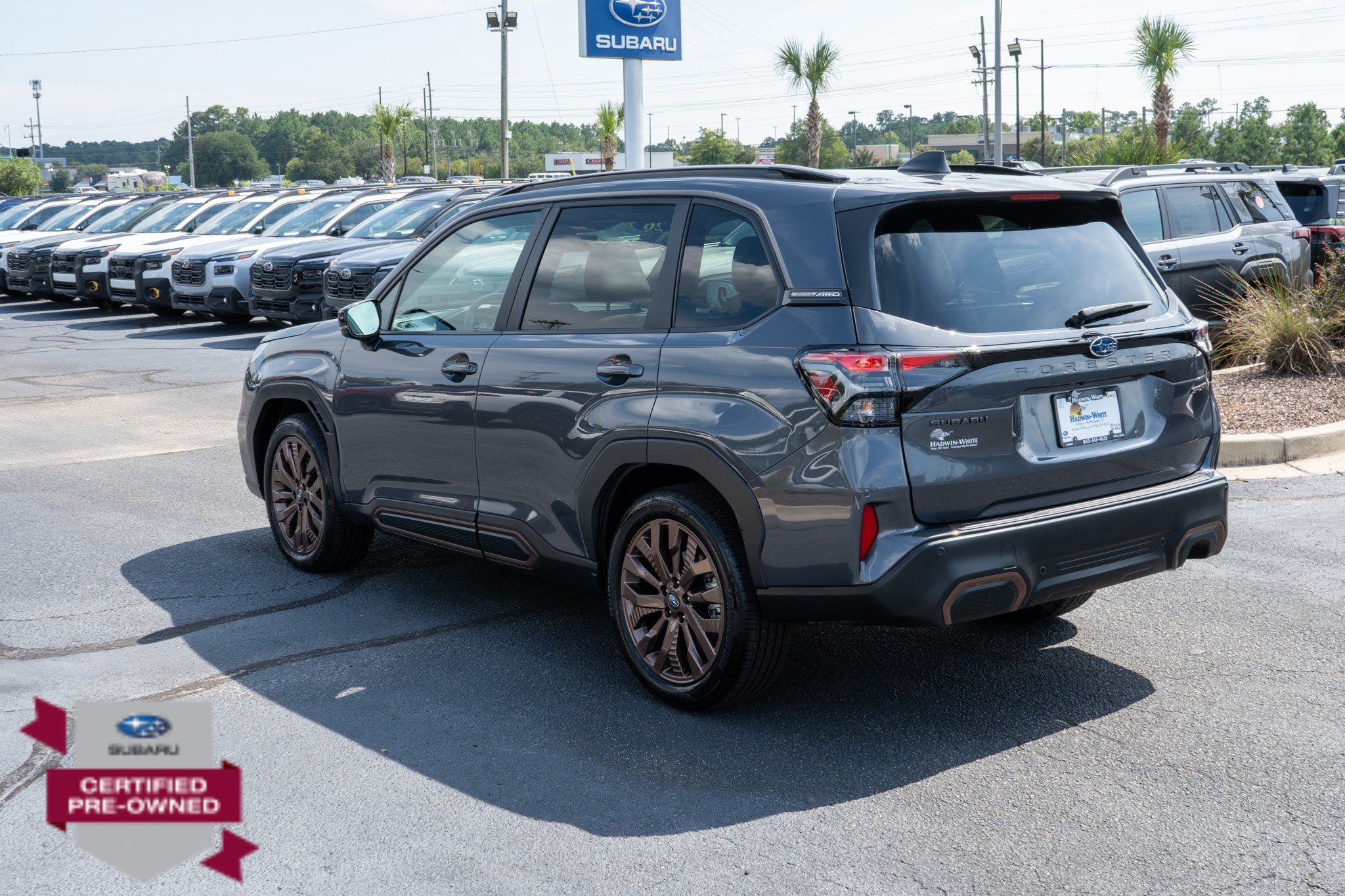 Photo 5