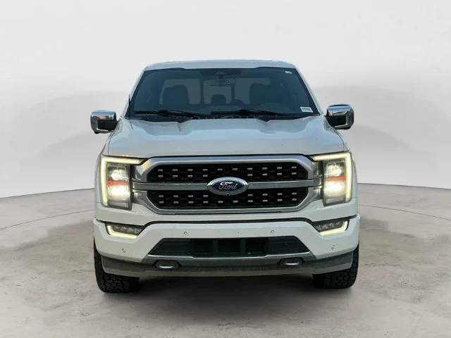 Used 2023 White Metallic Ford Platinum image 2