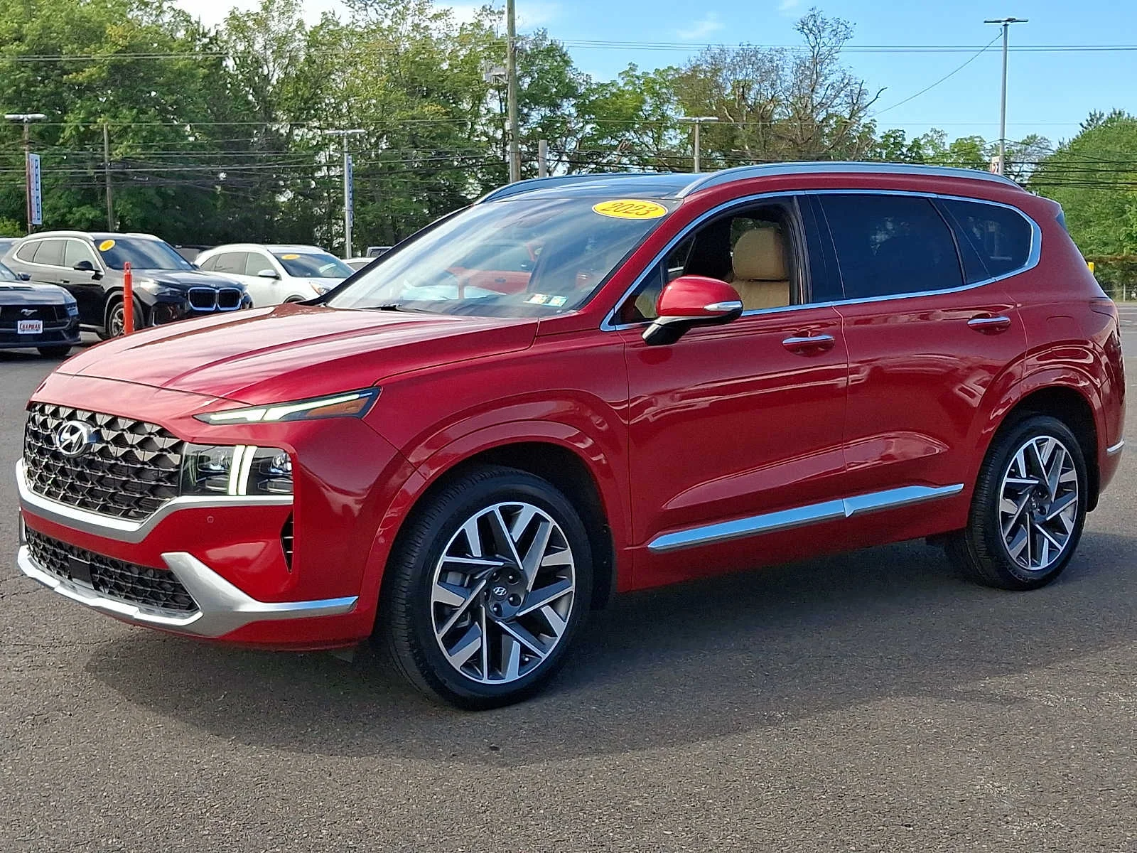 Used 2023 Calypso Red Hyundai Calligraphy image 3