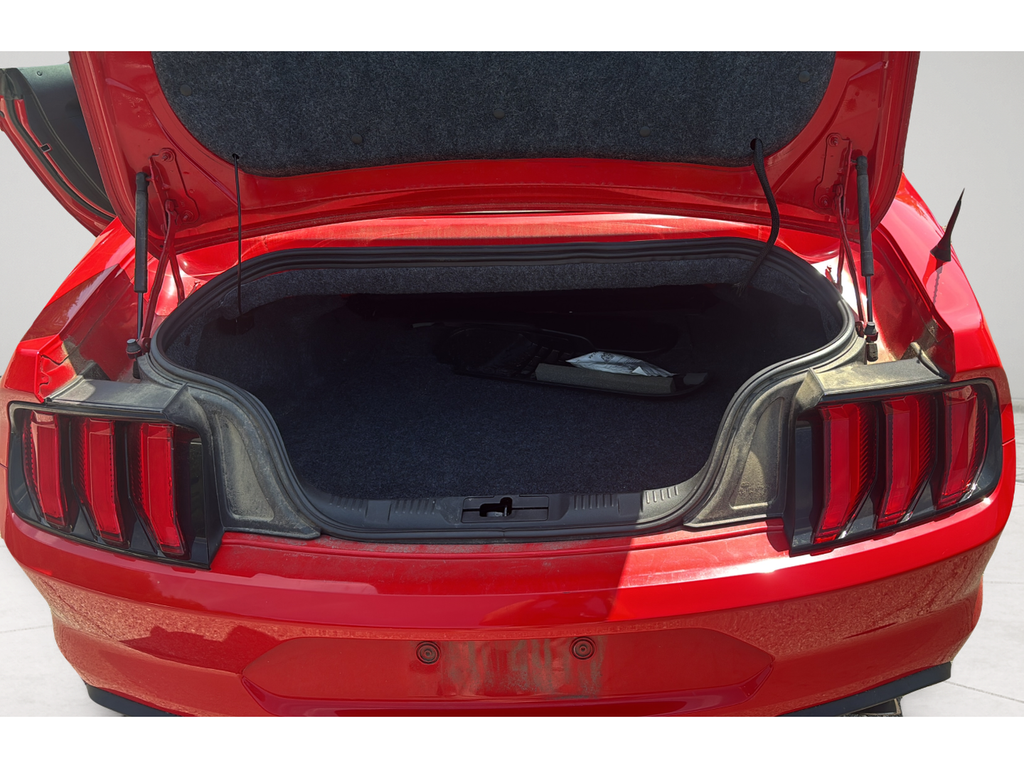 Used 2019 Red Ford EcoBoost image 20
