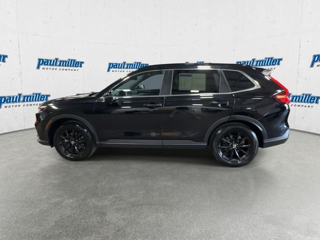 Used 2023 Black Honda Sport image 7