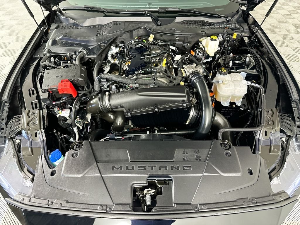 Used 2025 Black Ford EcoBoost image 27