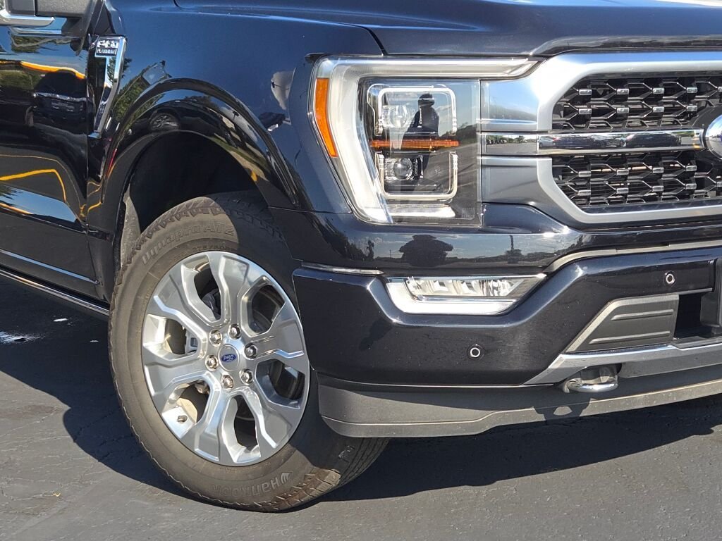 2023 Ford F-150 Platinum - Photo 3