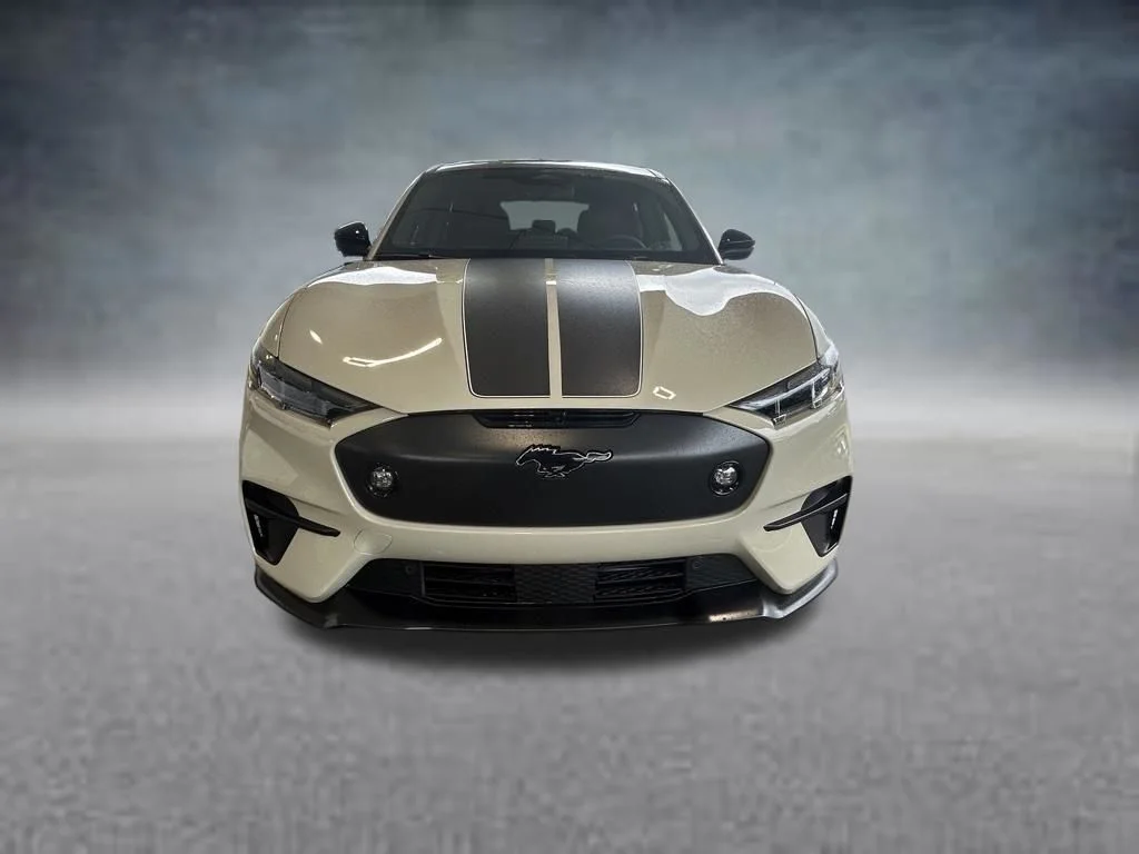 2025 Ford Mustang Mach-E GT - Photo 9