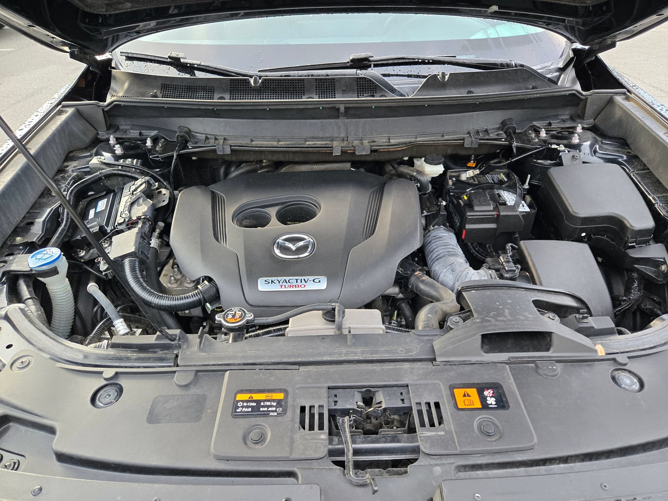 Used 2021 Jet Black Mica Mazda Touring image 19
