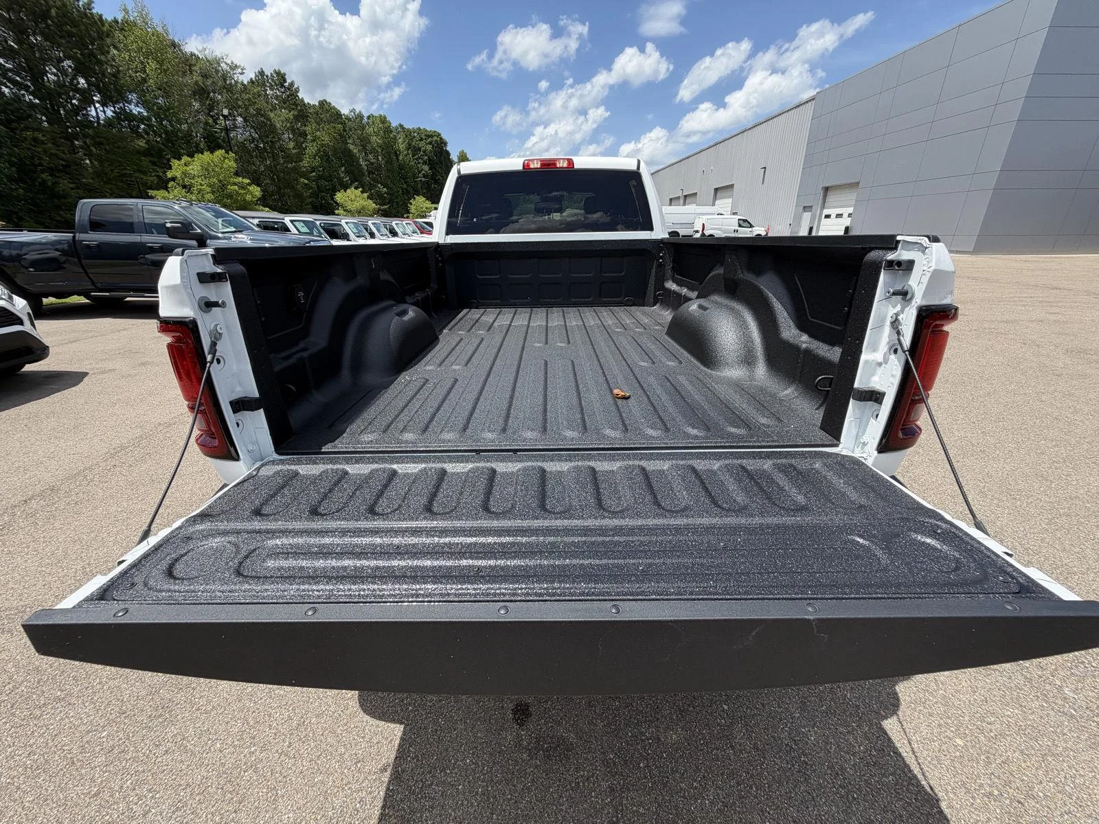 New 2026 Bright White Clear-Coat Exterior Paint RAM Tradesman image 19