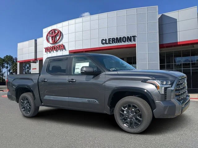 New 2026 Magnetic Gray Metallic Toyota Platinum image 1