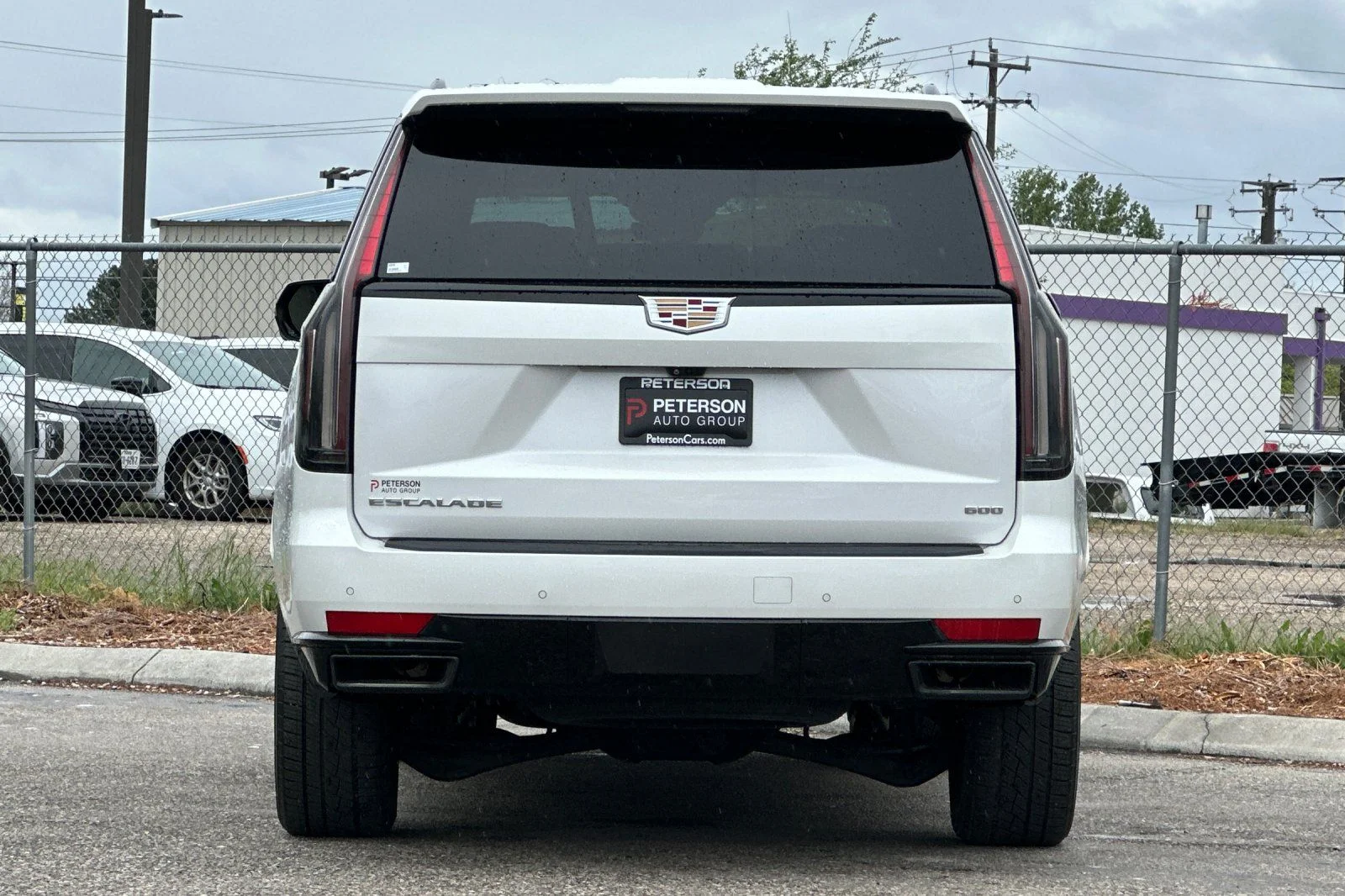 Used 2022  Cadillac Sport Platinum image 5