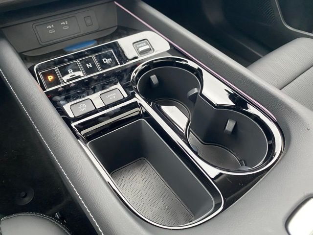 New 2026 Super Black Nissan Platinum image 27