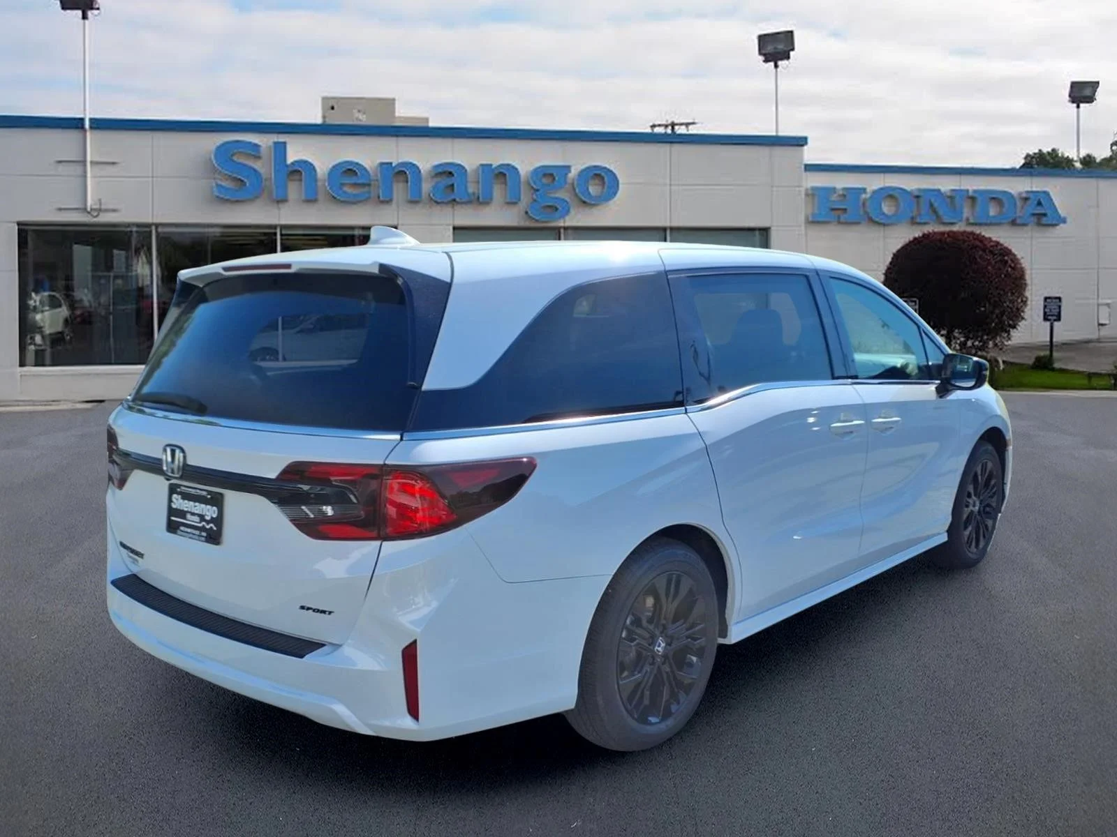 New 2026 Platinum White Pearl Honda Sport-L image 3