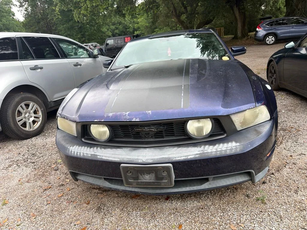 Used 2010  Ford GT Premium image 2