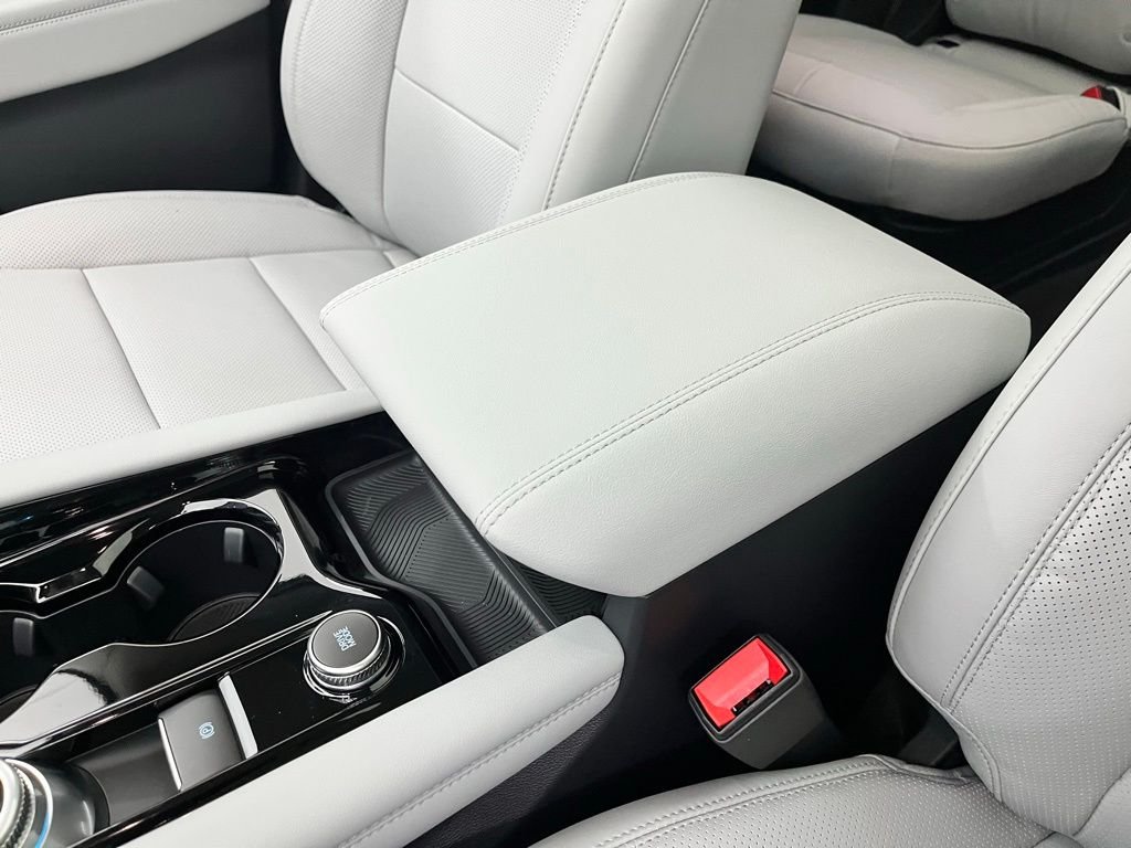 New 2026 Black Ford Platinum image 32