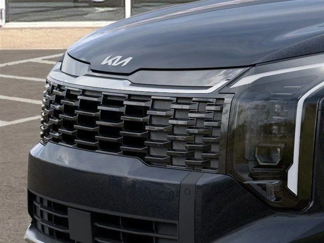 New 2026 Panthera Metal Gray Kia EX image 12