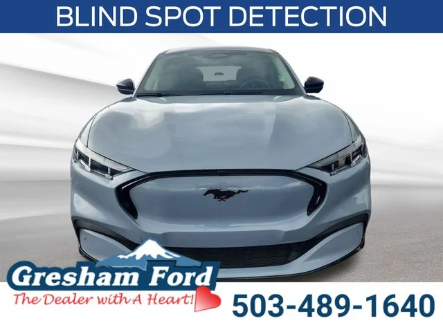 Used 2024 Gray Metallic Ford Premium image 10