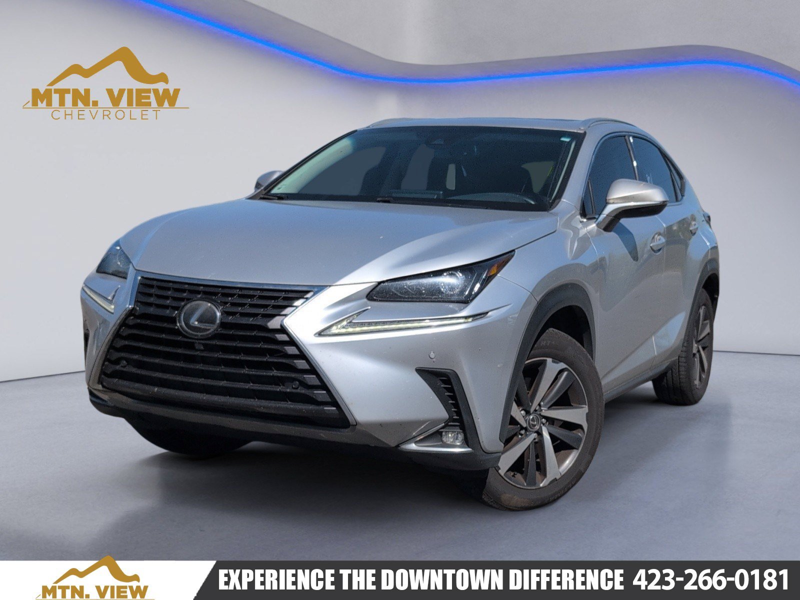 2019 Lexus NX