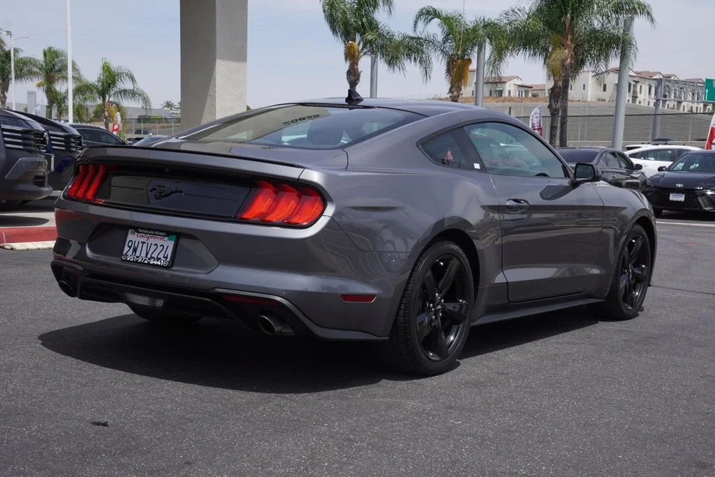 Used 2022 Gray Ford EcoBoost image 3