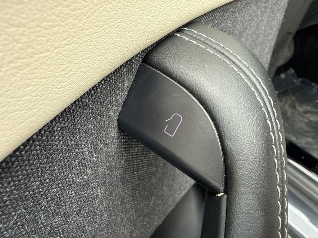Used 2021 Black Tesla Plaid image 24