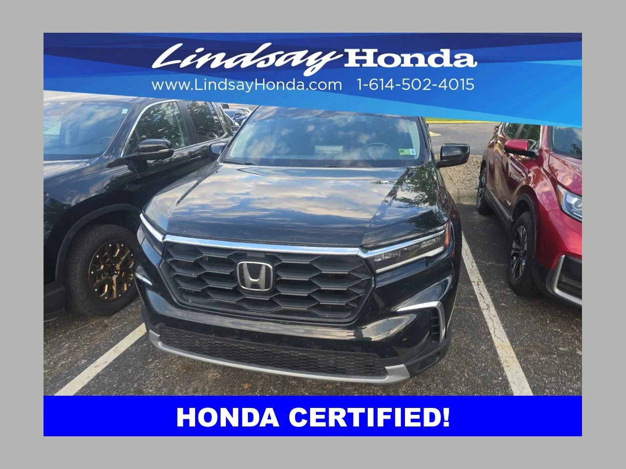 2024 Honda Pilot EX-L 8-Occupant AWD's photo