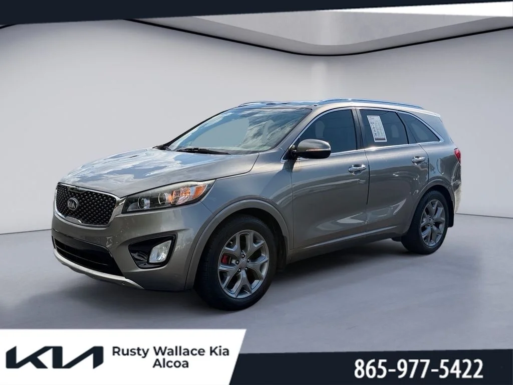 Used 2016 Titanium Silver Kia SX image 1