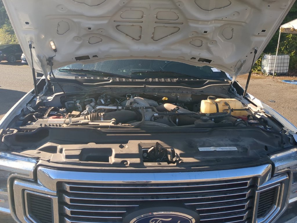 Used 2020 White Ford Platinum image 22