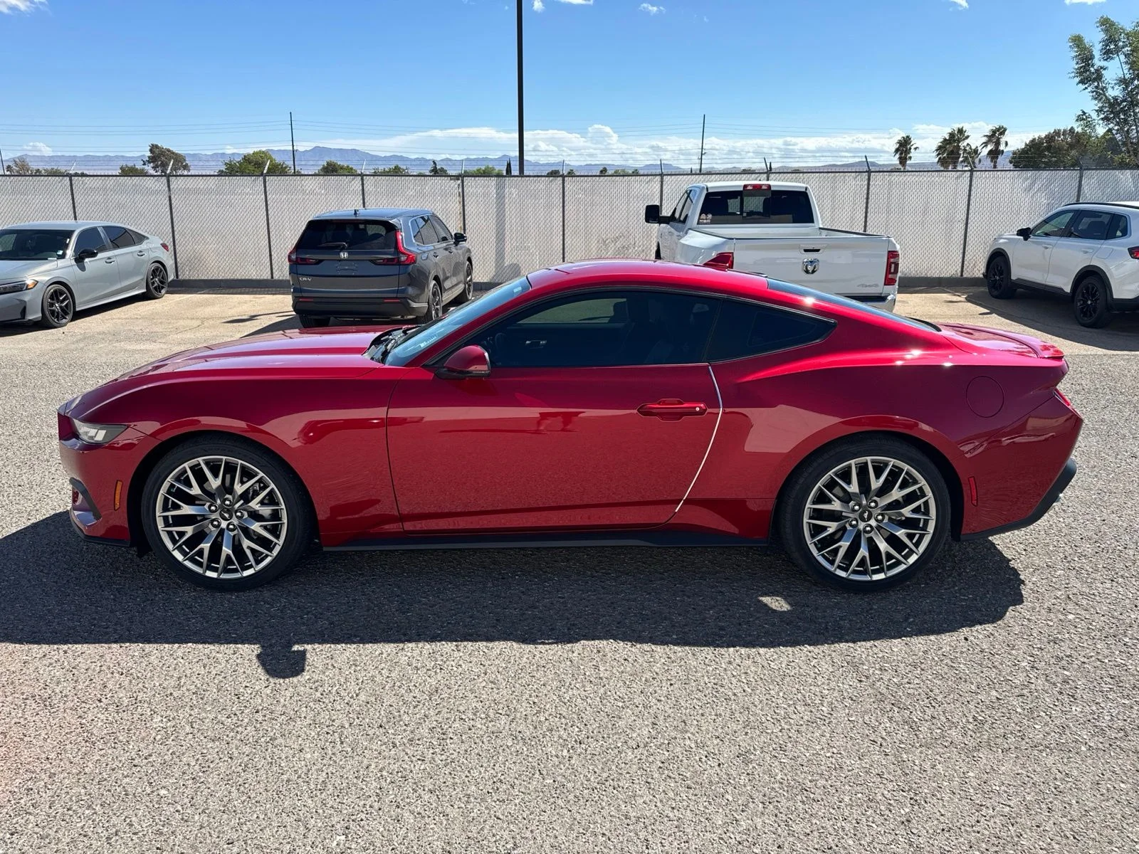 Used 2024 Red Ford EcoBoost Premium image 8