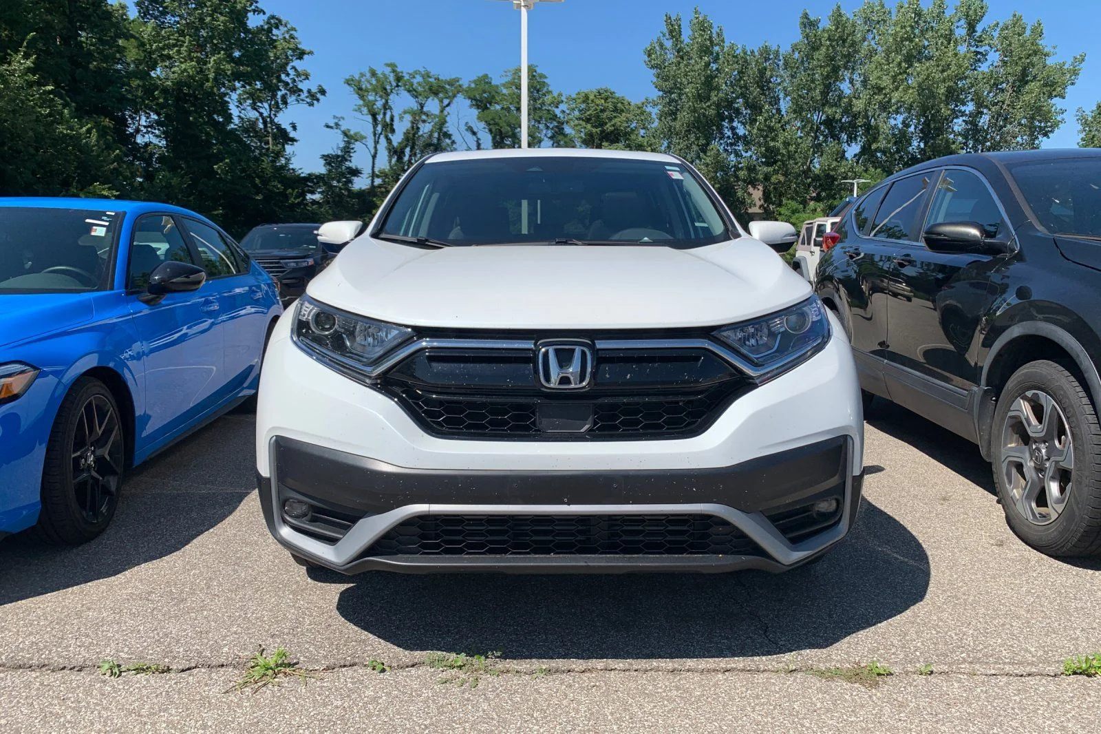 Used 2022 White Honda EX-L image 5