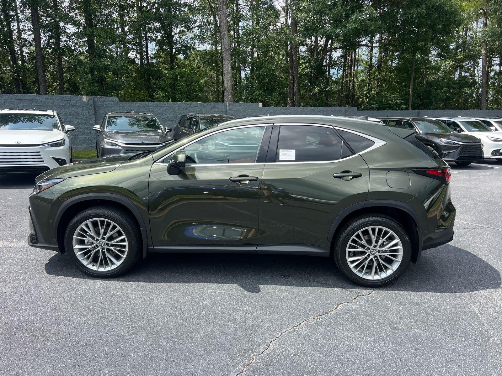 New 2026 Nori Green Pearl Lexus LUXURY AWD image 8