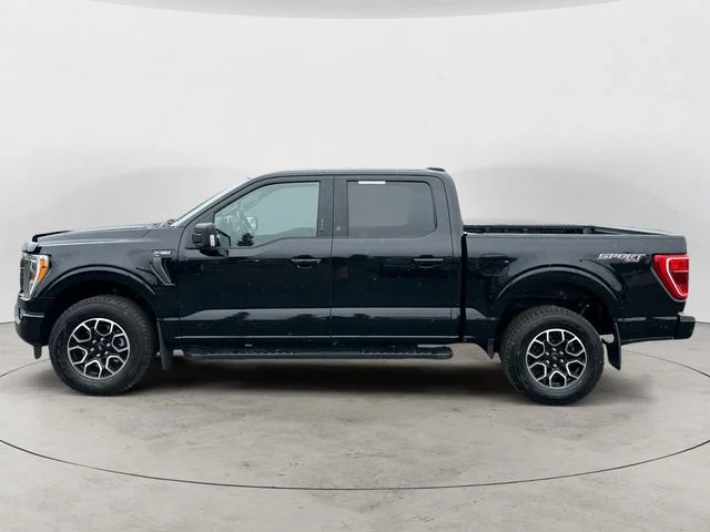 Certified Used 2023 Agate Black Metallic Ford XLT image 8