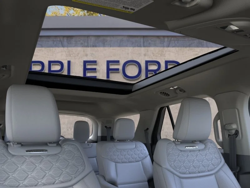 New 2026 Black Ford Platinum image 22