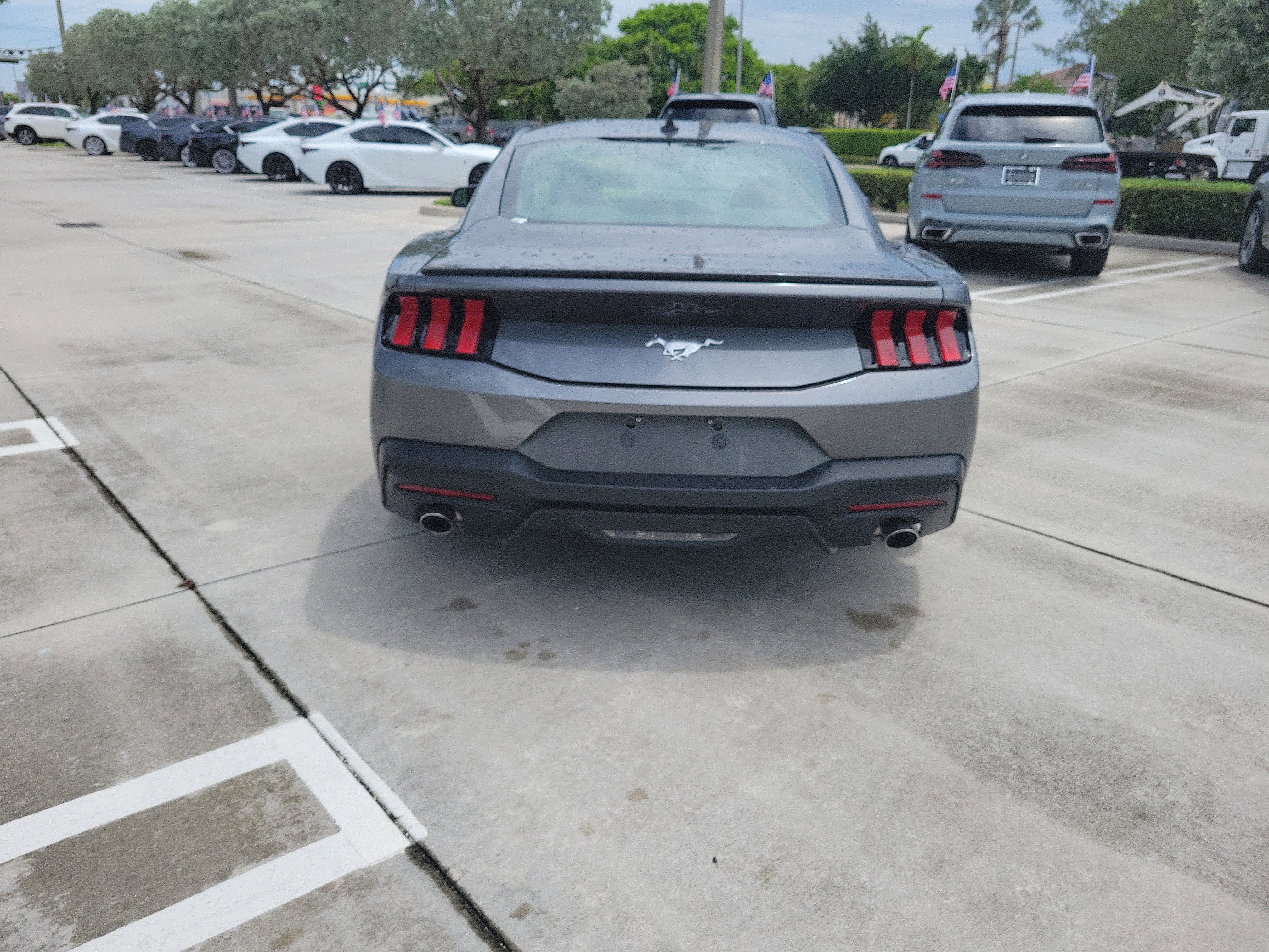 Used 2025 Gray Metallic Ford EcoBoost Premium image 9