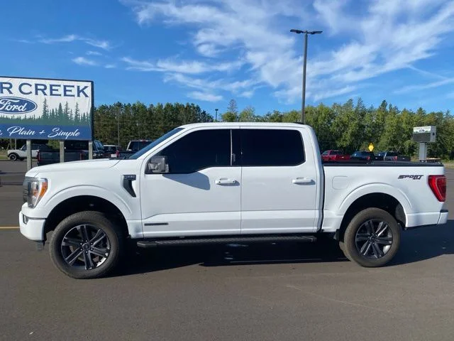 Used 2023 Ford F-150 XLT with VIN 1FTFW1ED9PFC75111 for sale in Pine River, Minnesota