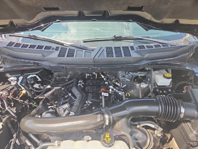 Used 2024 Black Ford XLT image 23