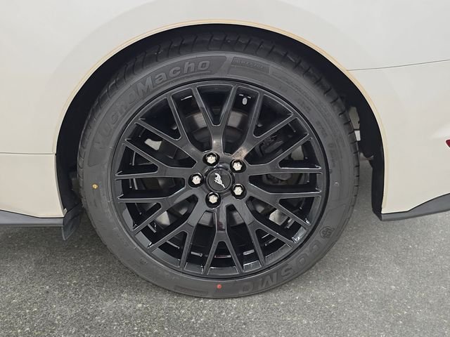 Used 2017 White Ford GT Premium image 30