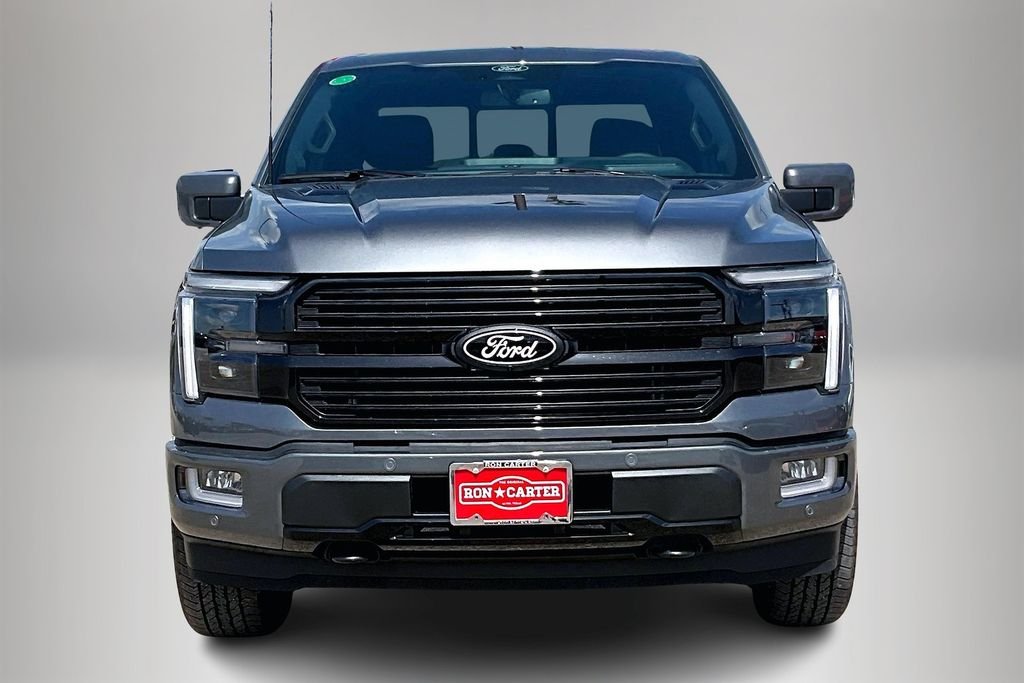 2025 Ford F-150 Platinum - Photo 12