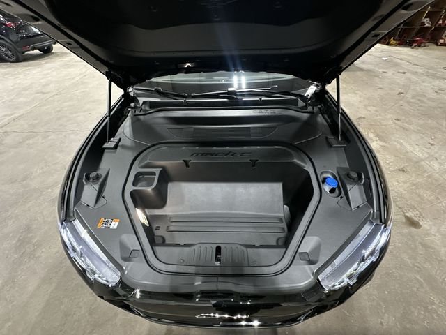 New 2026 Shadow Black Ford Premium image 22