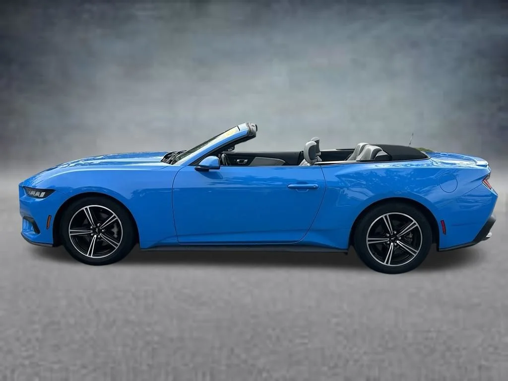 Used 2024 Grabber Blue Ford EcoBoost Premium image 6